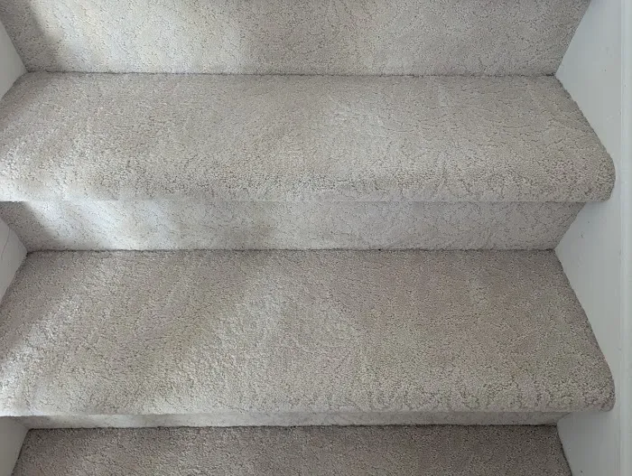 Stanley Steemer Picture 1