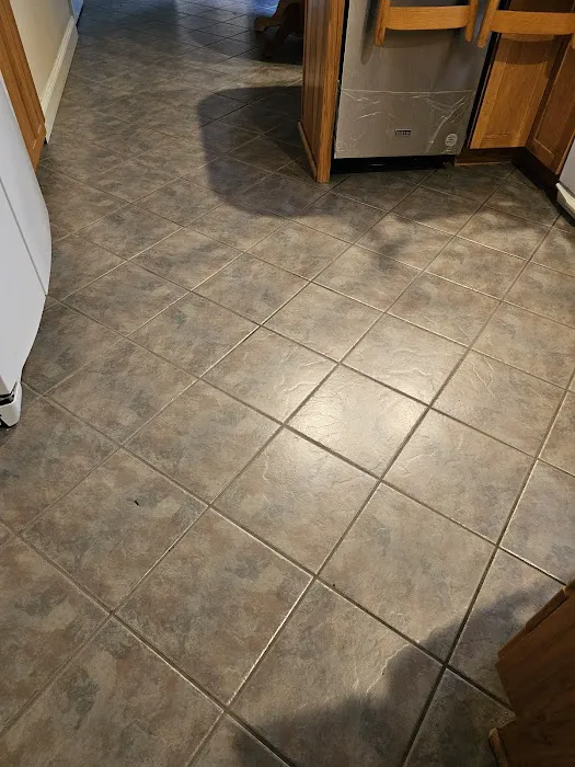 Stanley Steemer Picture 7