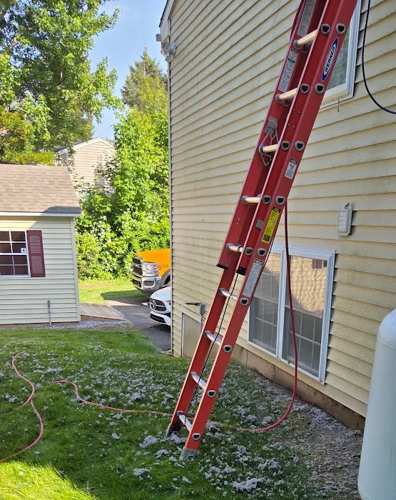 Stanley Steemer Picture 10