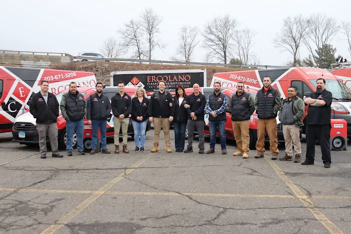 Ercolano Cleaning & Restoration Picture 4