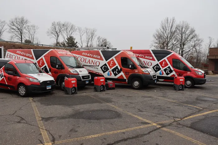 Ercolano Cleaning & Restoration Picture 10