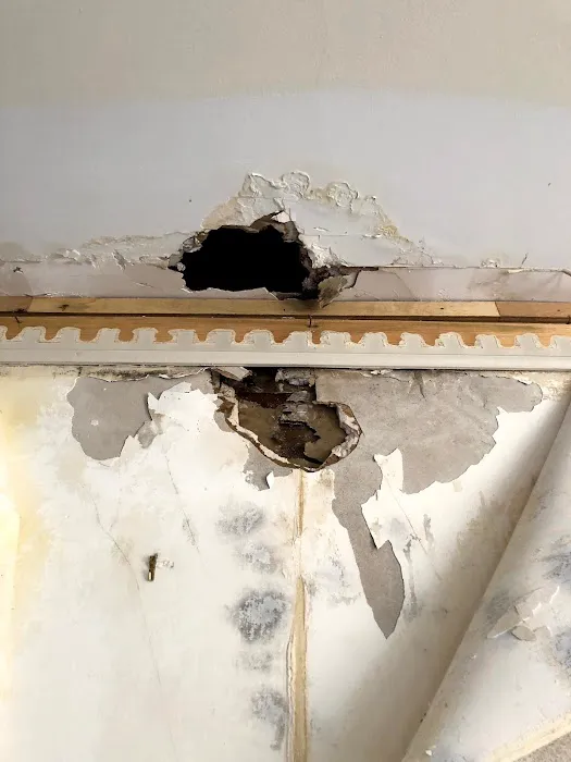 Ercolano Cleaning & Restoration Picture 7