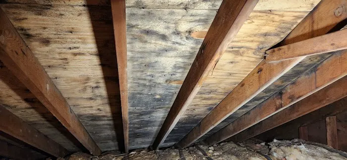 DC Restoration Picture 6