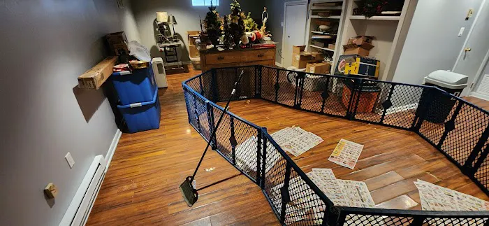 DC Restoration Picture 1