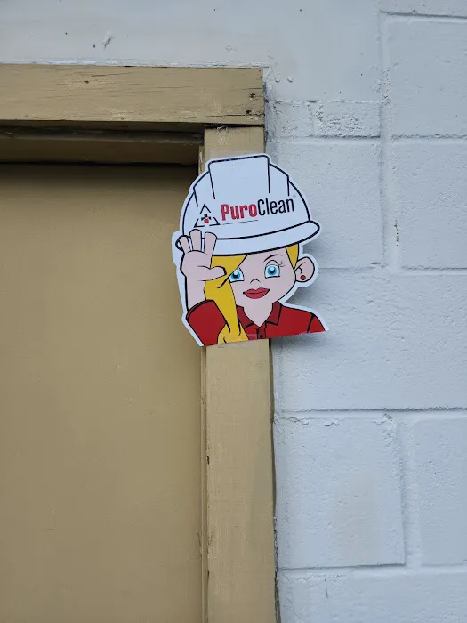 PuroClean of East Bridgeport Picture 7