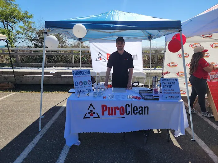 PuroClean of East Bridgeport Picture 10