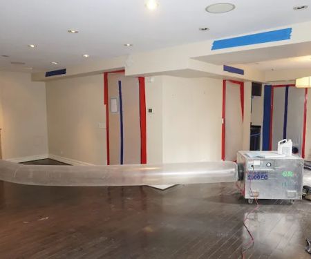 Green Restoration of New Haven-Shoreline