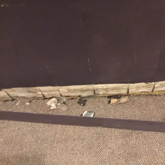 SERVPRO of New Haven Picture 3