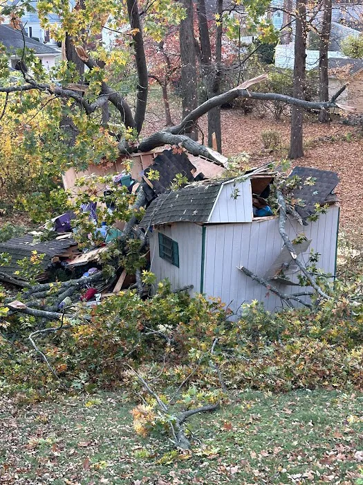 24 Restore Picture 4