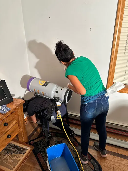 Sadie’s Pro Cleaning Picture 4