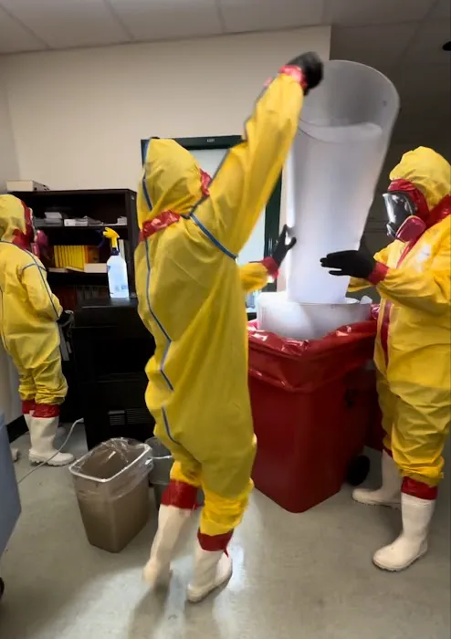 Sadie’s Pro Cleaning Picture 5