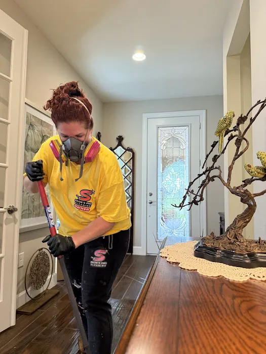 Sadie’s Pro Cleaning Picture 1