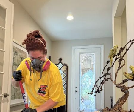 Sadieu2019s Pro Cleaning