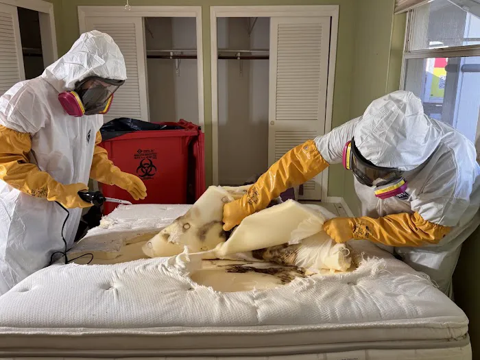 Sadie’s Pro Cleaning Picture 7