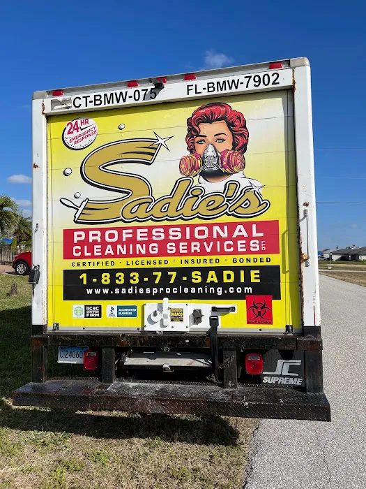 Sadie’s Pro Cleaning Picture 8
