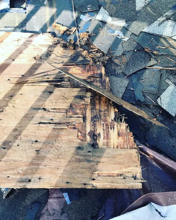 HomePro RX Picture 8