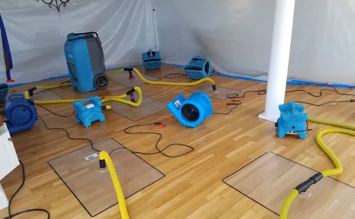 Steamatic of Connecticut Picture 8