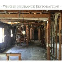 Better Views Management ico