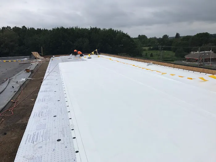 4 Elements LLC Picture 3