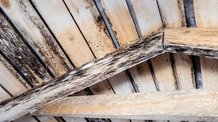 ServiceMaster Restore Picture 4