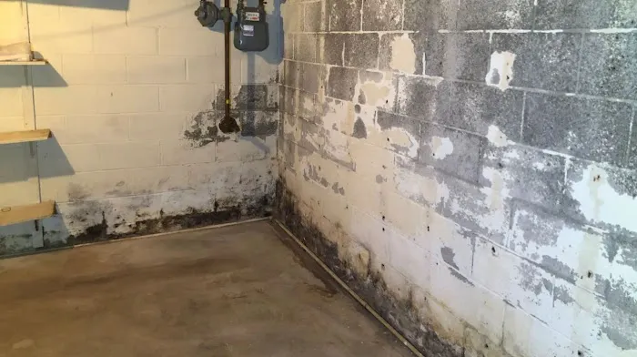 ServiceMaster Restore Picture 3