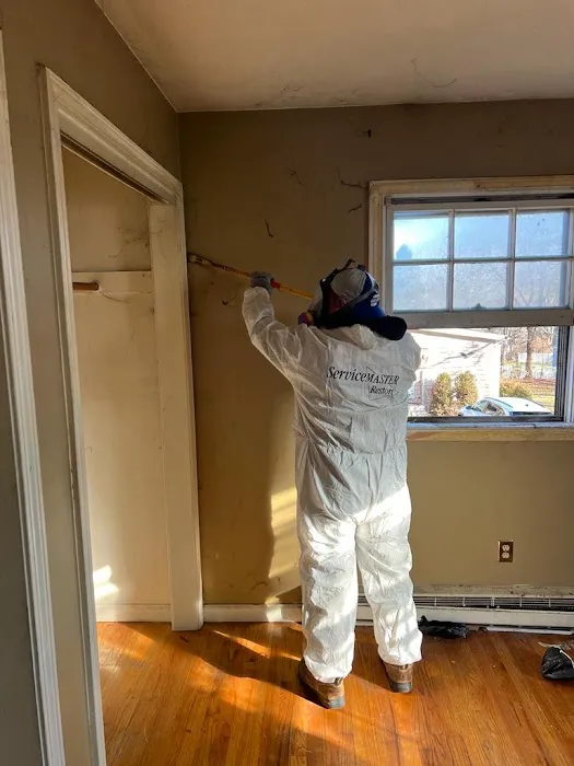 ServiceMaster Restore Picture 9