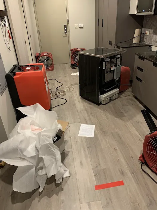 BELFOR Property Restoration Picture 9