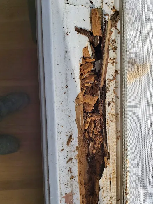 CT Handyman Services Picture 7