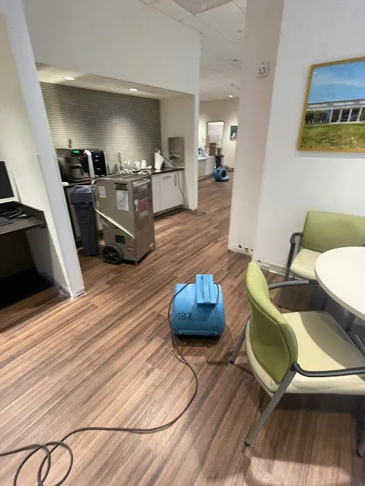 Flood Cleaning Company Queens Picture 4