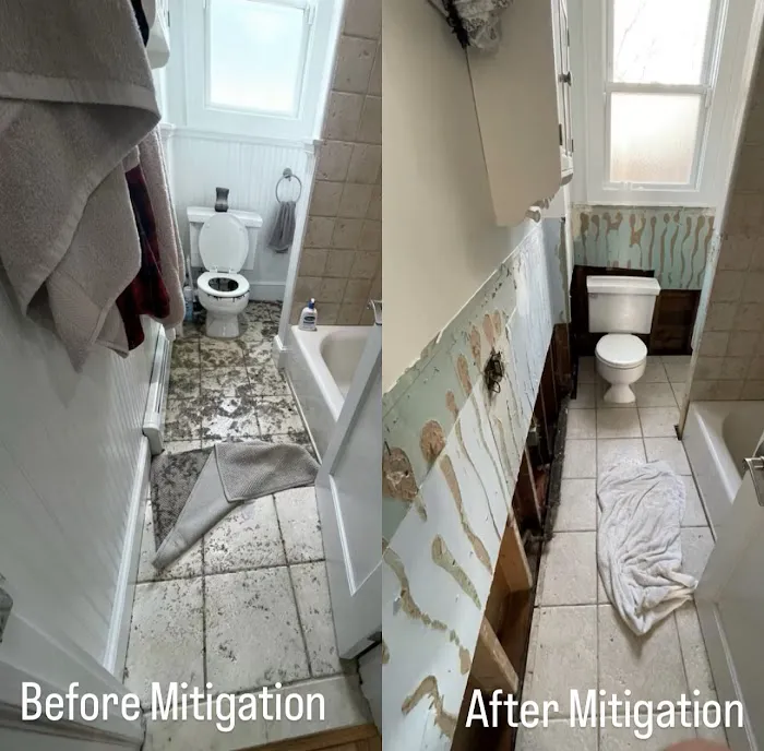 Premium Mitigation & Restoration Picture 3