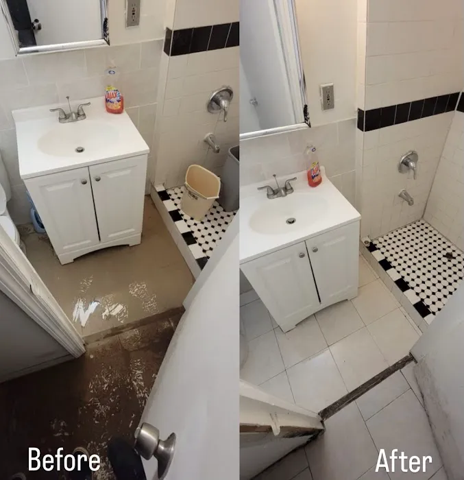 Premium Mitigation & Restoration Picture 4