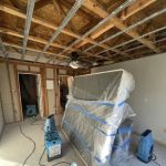 Premium Mitigation & Restoration