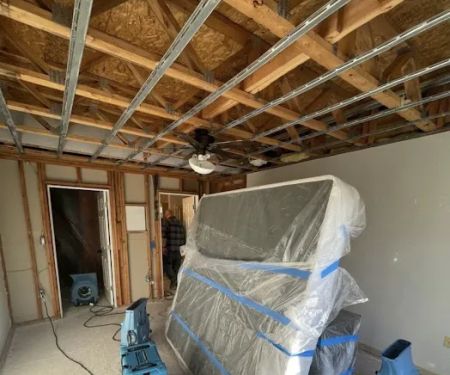 Premium Mitigation & Restoration