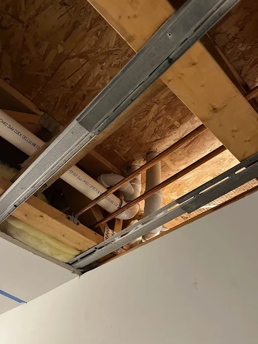 Premium Mitigation & Restoration Picture 5