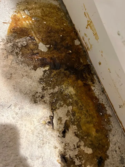 Nash Everett Picture 5