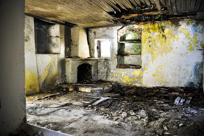 Nash Everett Picture 8