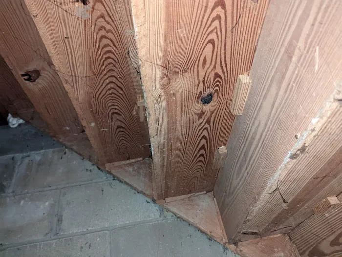 Nash Everett Picture 7