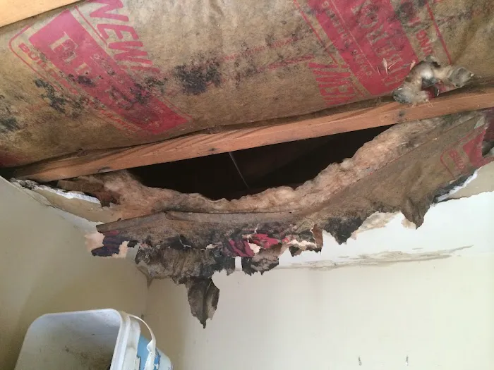 Healthy Way Waterproofing & Mold Remediation Picture 2