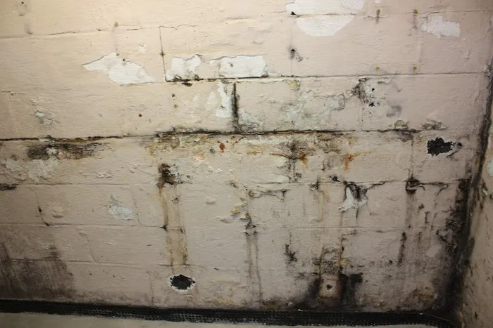 Healthy Way Waterproofing & Mold Remediation Picture 7