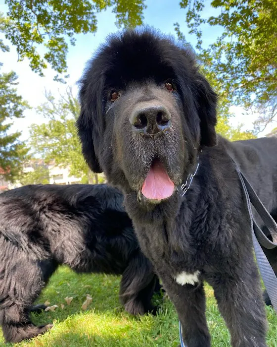 Pure Maintenance of Central Jersey Picture 1