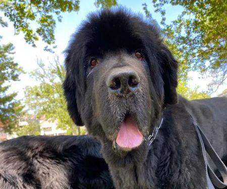 Pure Maintenance of Central Jersey