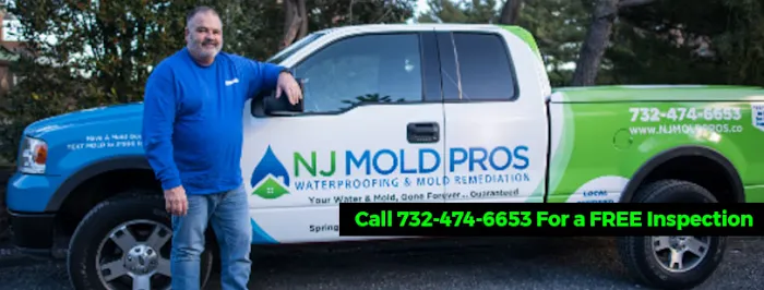 NJ Mold Pros Picture 2