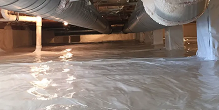 NJ Mold Pros Picture 10