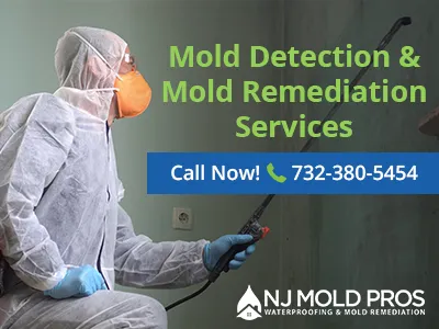 NJ Mold Pros Picture 9