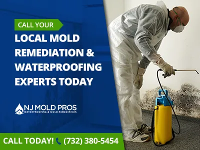 NJ Mold Pros Picture 5
