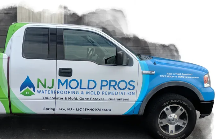 NJ Mold Pros Picture 4
