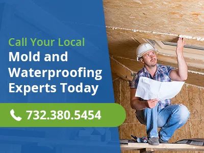 NJ Mold Pros Picture 7