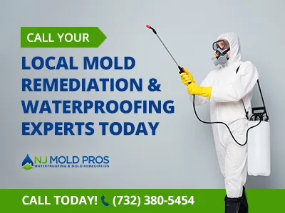 NJ Mold Pros Picture 1