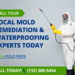 NJ Mold Pros