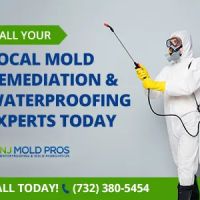 NJ Mold Pros ico